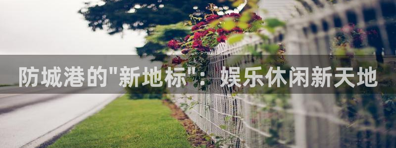 韦德1946娱乐：防城港的\