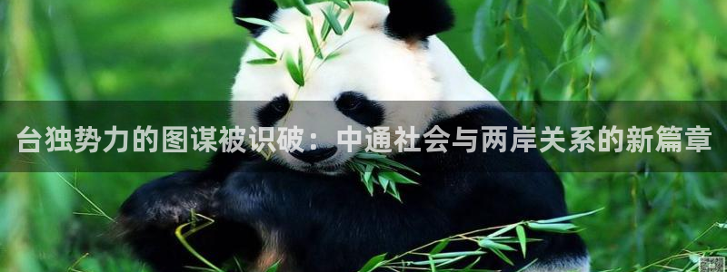 韦德1946娱乐：台独势力的图谋被识破：中通社会与两岸关系的新篇章