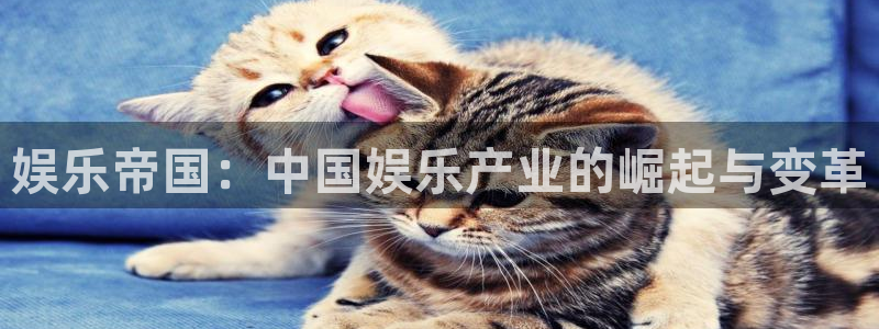 韦德1946娱乐手机版：娱乐帝国：中国娱乐产业的崛起与变革