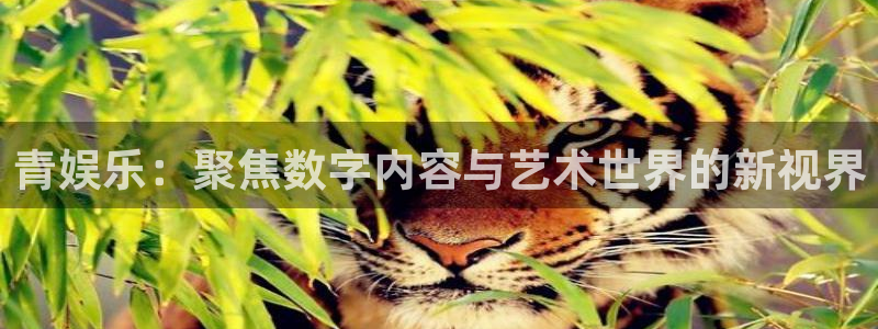 韦德1946bv1946：青娱乐：聚焦数字内容与艺术世界的新视界