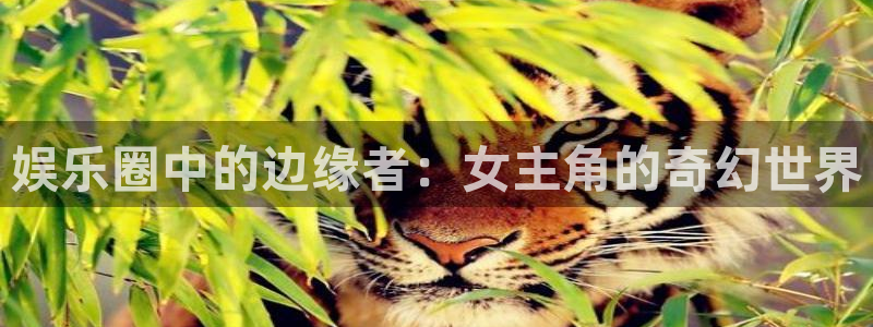 韦德1946源于英国：娱乐圈中的边缘者：女主角的奇幻世界