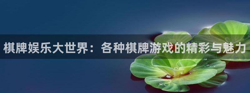 韦德1946娱乐