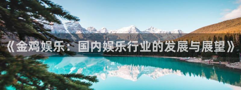 韦德1946bv1946：《金鸡娱乐：国内娱乐行业的发展与展望》